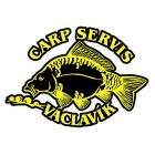 Carp Servis